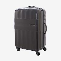 luggage myer sale